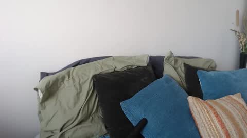 Snapshot of midsummernightsdream chatting on January 5, 5:27 pm MidsummerNightsDream online show from January 5, 5:27 pm