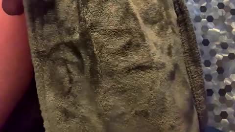 MiguelBlu2 online show from February 8, 3:54 am