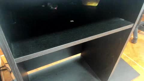 Snapshot of miia_taylor_1_ chatting on February 24, 11:10 am Mia online show from February 24, 11:10 am