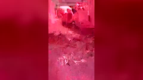 mike26051 online show from April 19, 5:51 am