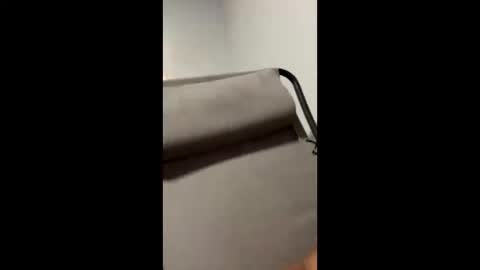 mike66730 online show from February 25, 4:35 am