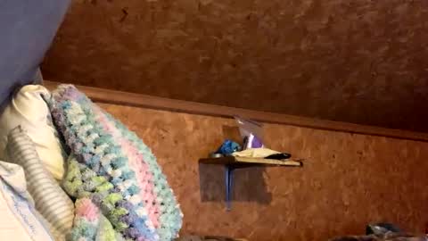 mikeblair5081 online show from December 18, 2:06 am