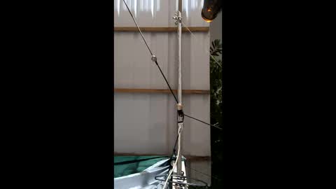 miky17cm online show from January 10, 2:35 am