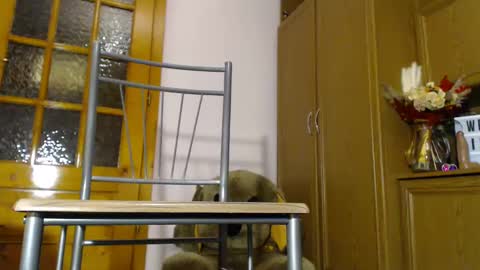 Snapshot of milk_and_hon3y chatting on December 4, 6:11 am Im  to see you here Pvts are open  I love patterns soo much online show from December 4, 6:11 am