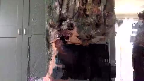 mince_alors online show from November 24, 5:34 pm