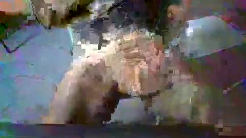 Snapshot of minoas31 chatting on December 13, 8:09 am minoas31 online show from December 13, 8:09 am