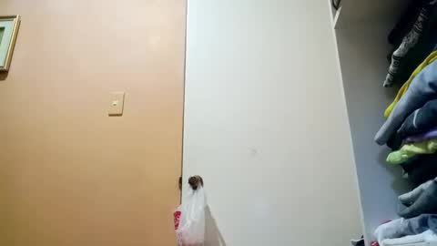 Snapshot of mirana_xxx chatting on October 30, 10:43 pm Im Ping online show from October 30, 10:43 pm