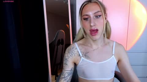 Snapshot of miraraid chatting on December 17, 9:50 am miraraid online show from December 17, 9:50 am