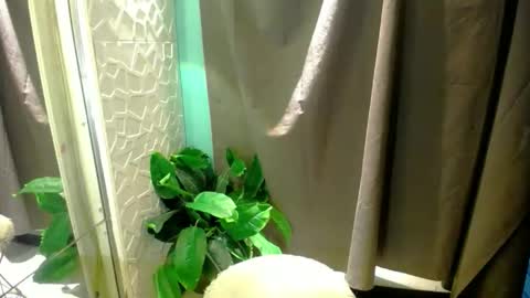 Snapshot of miss_moheera_xxx chatting on May 3, 2:17 am Moheera online show from May 3, 2:17 am