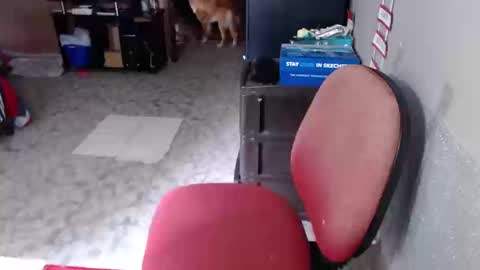 Maria Gomezz online show from March 19, 4:11 pm