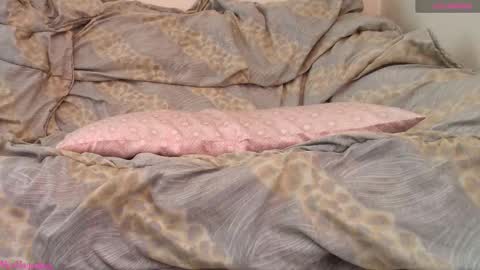  Vi  online show from February 19, 11:06 am