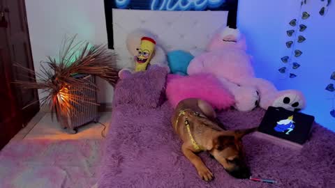 Snapshot of misstexass_ chatting on December 4, 6:06 pm  Natalie Texass indepedent model online show from December 4, 6:06 pm