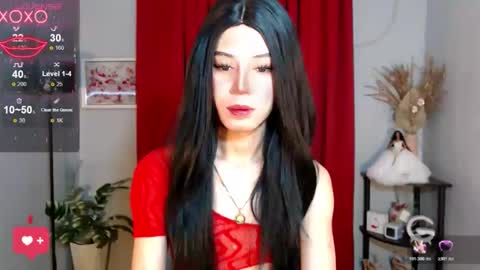 Stella online show from November 17, 7:36 am