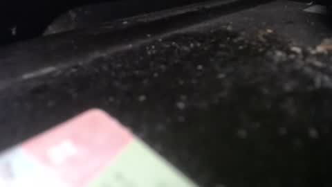 Calipso online show from April 20, 12:30 pm