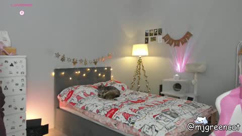 Snapshot of mjgreencat chatting on December 13, 6:59 pm mj online show from December 13, 6:59 pm