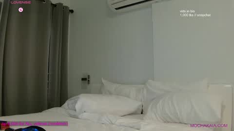 Mocha  BDAY JAN 13  online show from January 21, 4:10 am