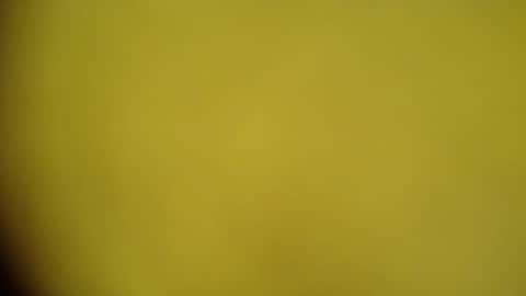 Snapshot of mohamedasif123 chatting on January 29, 6:22 am mohamedasif123 online show from January 29, 6:22 am