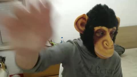 molkreid2 online show from April 5, 3:04 am