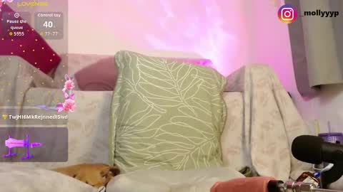 mollyyy_y online show from March 8, 2:04 am