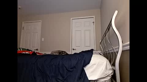 Snapshot of moneyboysaveg584 chatting on April 12, 10:09 am moneyboysaveg584 online show from April 12, 10:09 am