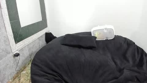 Snapshot of monkeyd_66 chatting on February 18, 9:10 am monkeyd_66 online show from February 18, 9:10 am