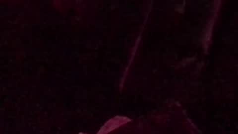 montydxxx2 online show from September 14, 3:05 am