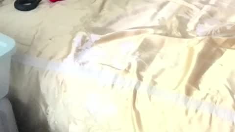 montydxxx2 online show from February 15, 11:08 am