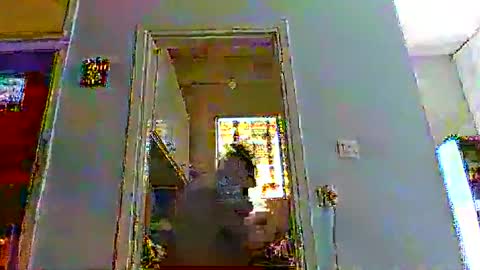 mppempis81 online show from December 14, 9:03 am