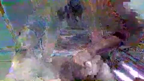 mppempis81 online show from December 21, 8:10 am