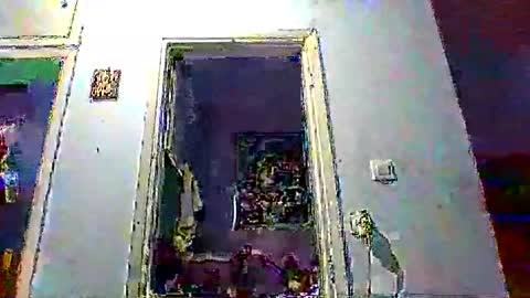 mppempis81 online show from January 17, 3:50 pm