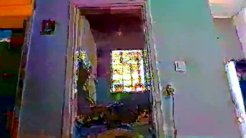 mppempis81 online show from February 1, 7:29 am