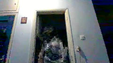 mppempis81 online show from February 2, 8:40 pm