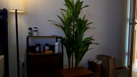 Sequoia-Cocked Hombre de Sur online show from February 1, 8:40 pm