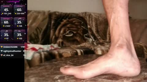 Mr. Good and Ms. Plenty online show from December 9, 6:55 am