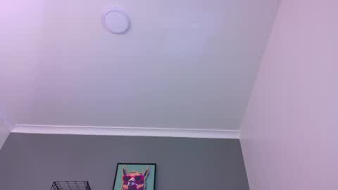Mr Fox online show from May 15, 11:56 pm
