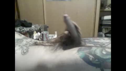 Snapshot of mrfumao chatting on June 8, 6:14 am mrfumao online show from June 8, 6:14 am