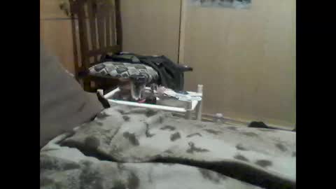 Snapshot of mrfumao chatting on June 9, 12:33 am mrfumao online show from June 9, 12:33 am