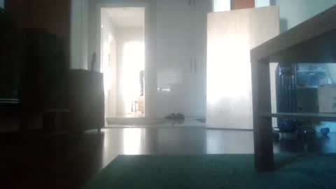 Nikola online show from February 6, 9:23 am