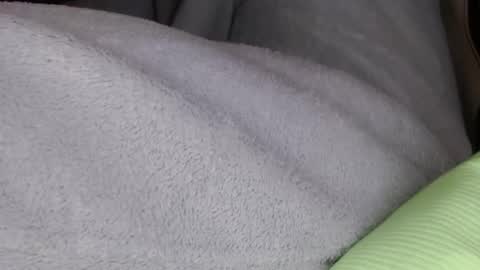 Mister Jean Nemar online show from January 18, 8:12 pm