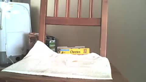 Snapshot of mrroarke chatting on October 6, 11:35 pm Longshot online show from October 6, 11:35 pm