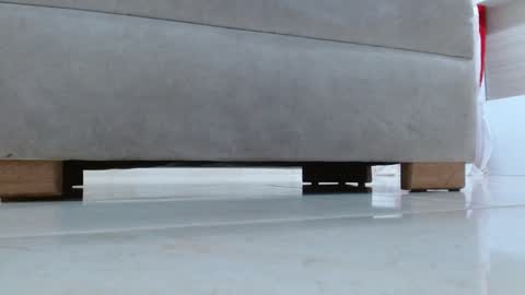 Tell me Katty  online show from January 10, 11:43 am