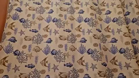 Muffdiver online show from March 26, 7:41 pm