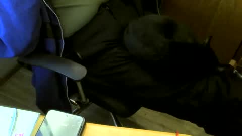 Snapshot of muller520 chatting on December 29, 11:40 am muller520 online show from December 29, 11:40 am
