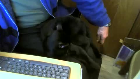Snapshot of muller520 chatting on January 11, 10:19 am muller520 online show from January 11, 10:19 am