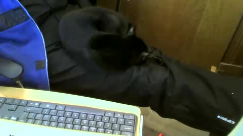 Snapshot of muller520 chatting on January 15, 2:35 pm muller520 online show from January 15, 2:35 pm