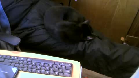 Snapshot of muller520 chatting on January 16, 6:06 pm muller520 online show from January 16, 6:06 pm