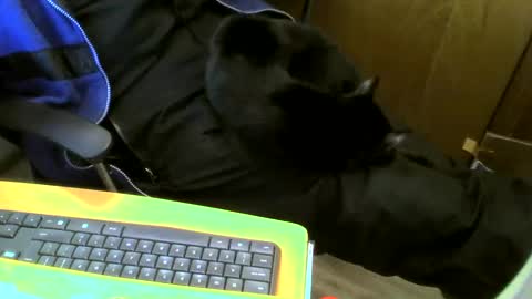Snapshot of muller520 chatting on January 18, 3:59 pm muller520 online show from January 18, 3:59 pm