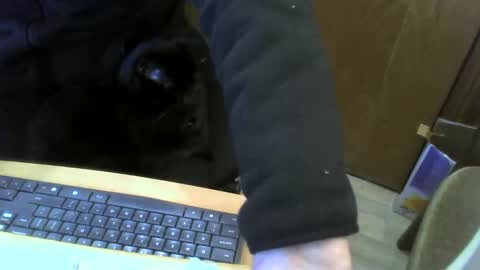 Snapshot of muller520 chatting on January 22, 4:02 pm muller520 online show from January 22, 4:02 pm