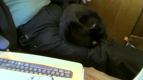 Snapshot of muller520 chatting on January 22, 7:03 pm muller520 online show from January 22, 7:03 pm