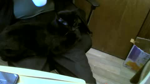 Snapshot of muller520 chatting on January 23, 6:14 pm muller520 online show from January 23, 6:14 pm